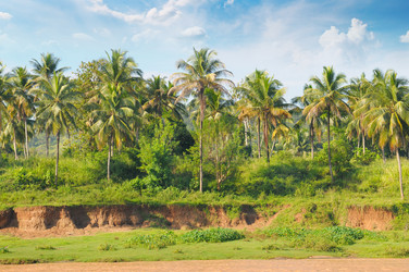 Similar image 10750942