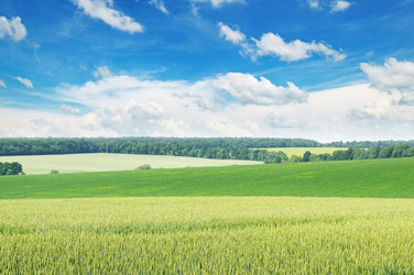 Similar image 10750952