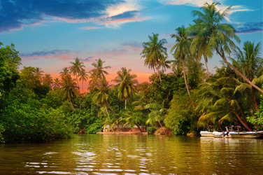 Similar image 10751019