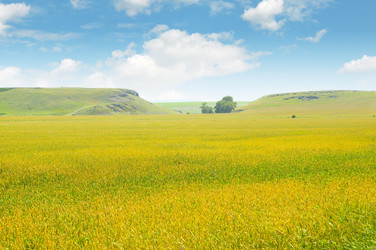 Similar image 10751021