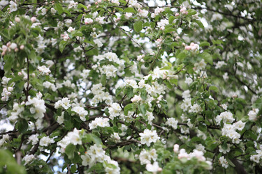 Similar image 10751124