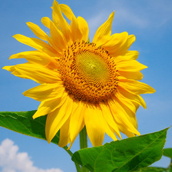 Similar image 10751267