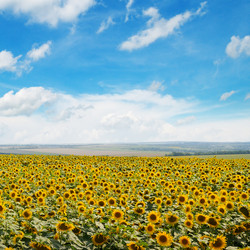 Similar image 10751273