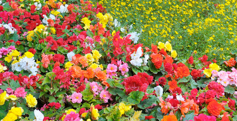 Similar image 10751284