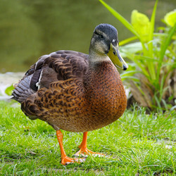 Similar image 10751342