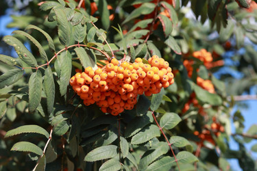 Similar image 10751474