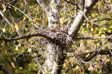 Similar image 10751484