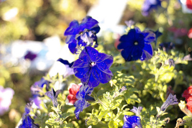 Similar image 10751575