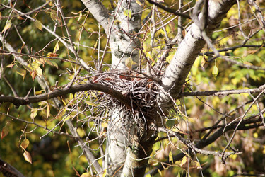 Similar image 10751728