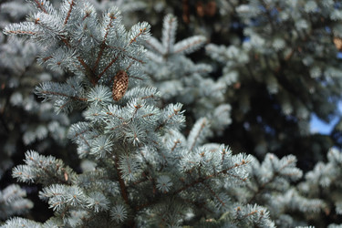 Similar image 10751737