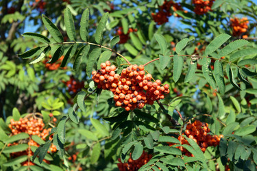 Similar image 10751790