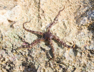 Similar image 10752038