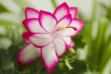 Similar image 10752052