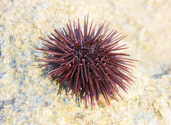 Similar image 10752053