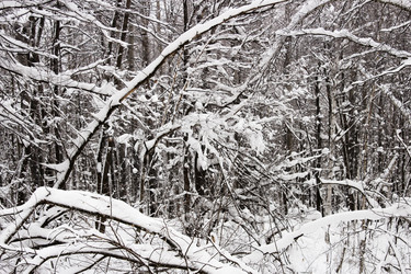 Similar image 10752091