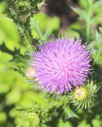 Similar image 10752094