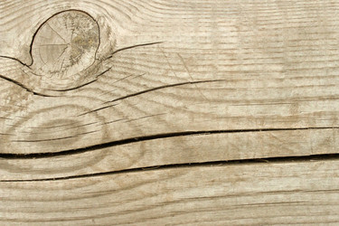 Similar image 10752100