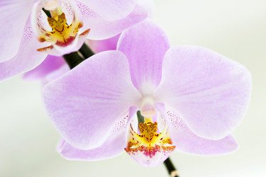 Similar image 10752103