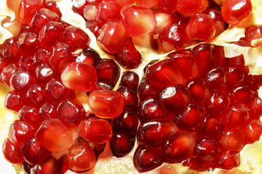 Similar image 10752109