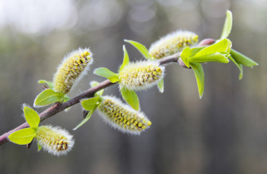 Similar image 10752111