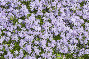 Similar image 10752129