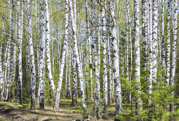 Similar image 10752134