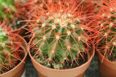 Similar image 10752140