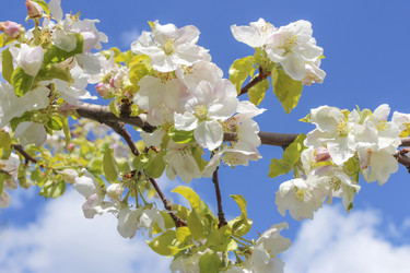 Similar image 10752184