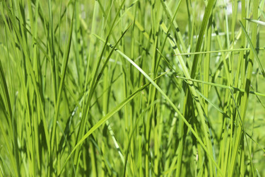 Similar image 10752190