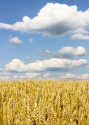 Similar image 10752637