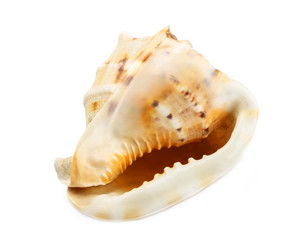 Similar image 10752834