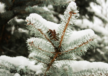 Similar image 10752891