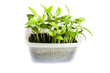 Similar image 10752931