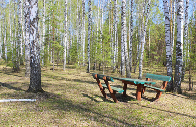 Similar image 10752932