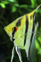 Similar image 10752935