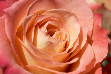 Similar image 10752938