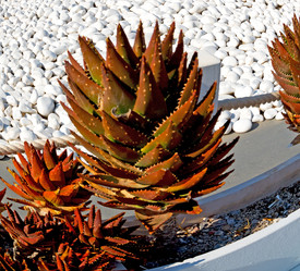 Similar image 10753179