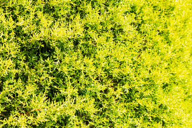 Similar image 10753229