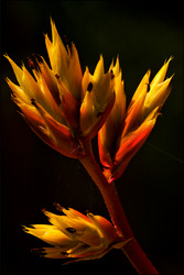 Similar image 10753302