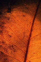 Similar image 10753637