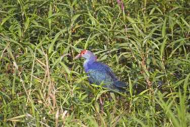 Similar image 10753914