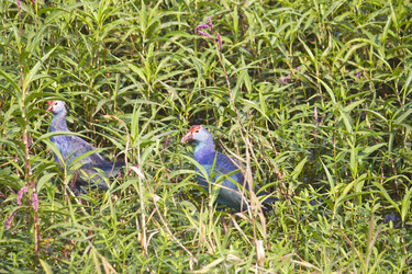 Similar image 10753915