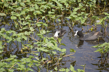 Similar image 10753918