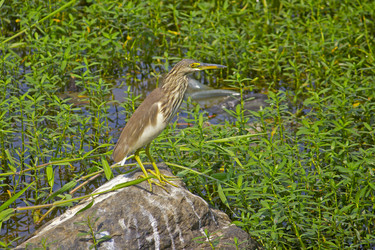 Similar image 10753920