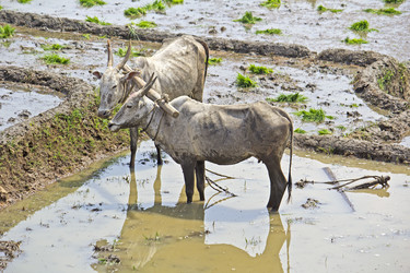 Similar image 10753923