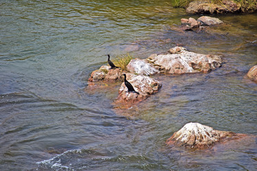 Similar image 10753985