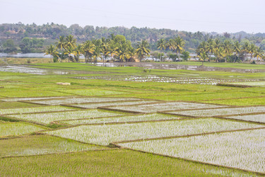 Similar image 10753986