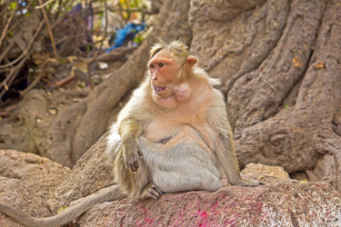 Similar image 10753995