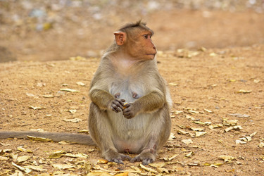 Similar image 10753996