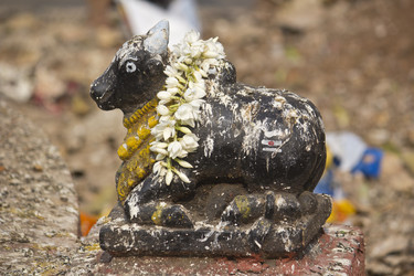 Similar image 10754001